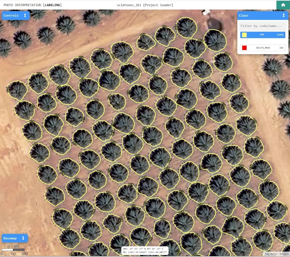Detected palm trees